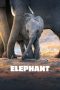 Nonton Film Elephant (2020) Terbaru Nonton Film Elephant (2020) Terbaru
